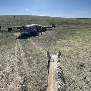 Meet your Posher, Bradon